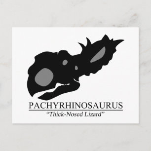 Pachyrhinosaurus Skull Postcard