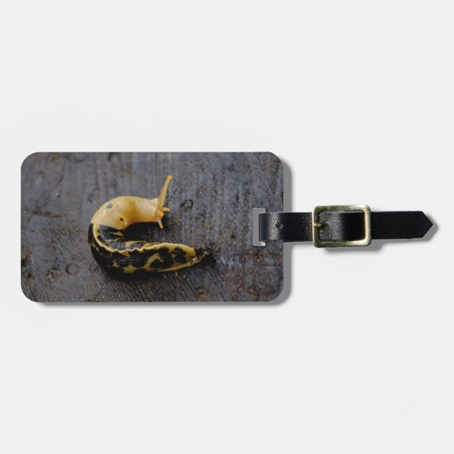 Pacific Banana Slug Luggage Tag (Front Horizontal)