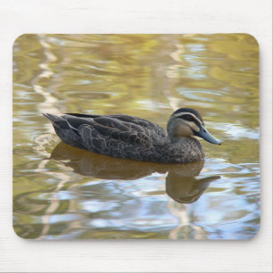 Pacific Black Duck Mouse Mat