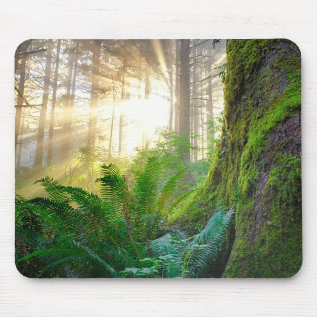 Pacific Coast Forest, Oregon Mouse Mat (Front)