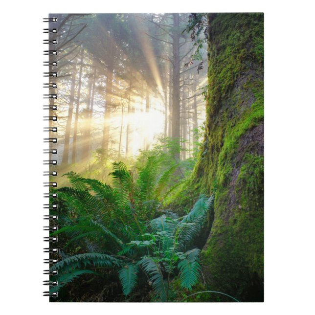 Pacific Coast Forest, Oregon Notebook (Front)