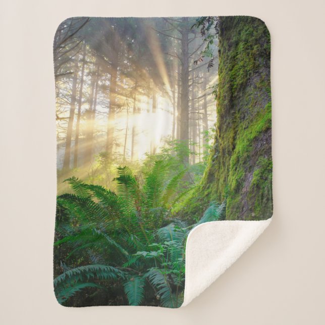 Pacific Coast Forest, Oregon Sherpa Blanket (Front)
