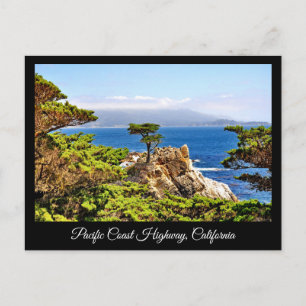 PACIFIC COAST HIGHWAY CALIFORNIA POSTCARD