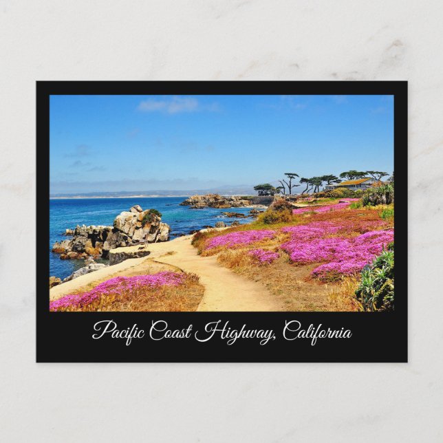 PACIFIC COAST HIGHWAY CALIFORNIA POSTCARD (Front)