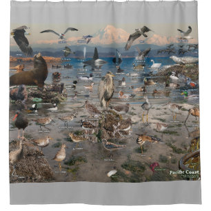 Pacific Coast Shower Curtain