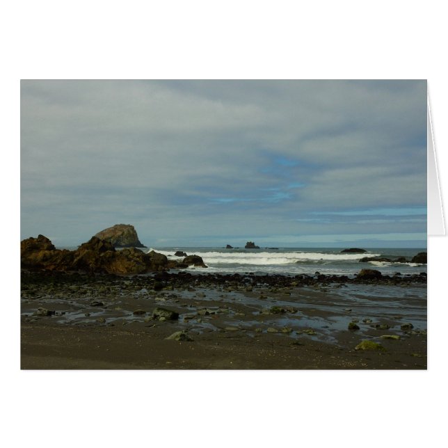 Pacific Coastline at Redwood National Park (Front Horizontal)