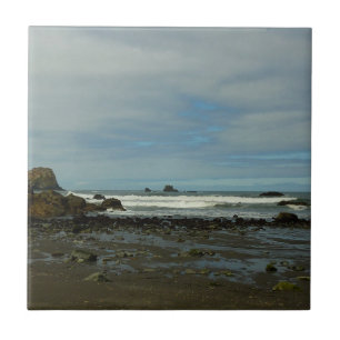 Pacific Coastline at Redwood National Park Tile