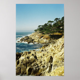 Pacific Coastline Poster