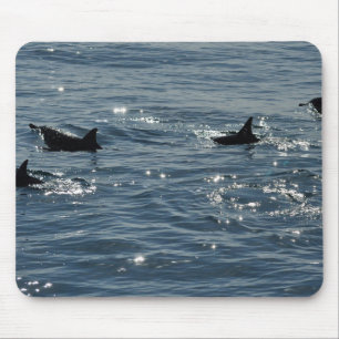 Pacific Common Dolphin Mousepad