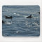 Pacific Common Dolphin Mousepad