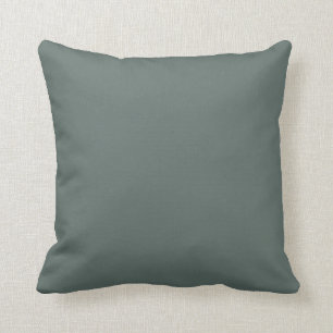 Pacific Dark Green-Blue Grey Solid Colour SW 6215 Cushion