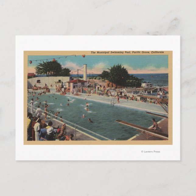 Pacific Grove, CA - Municipal Swimming Pool View Postcard (Front)