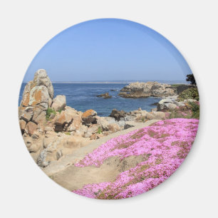 Pacific Grove Magnet