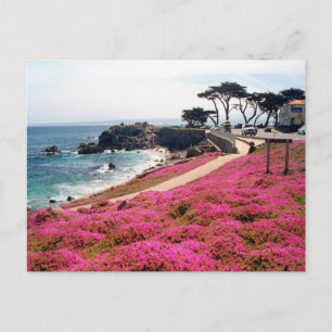 Pacific Grove-Monterey Calif Postcard