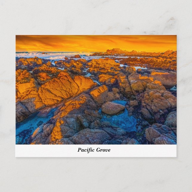 Pacific Grove Postcard (Front)