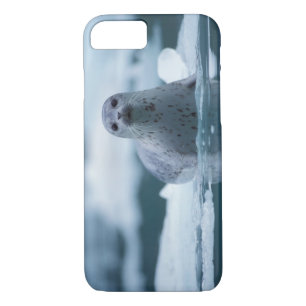 pacific harbour seal, Phoca vitulina richardsi iPhone 8/7 Case