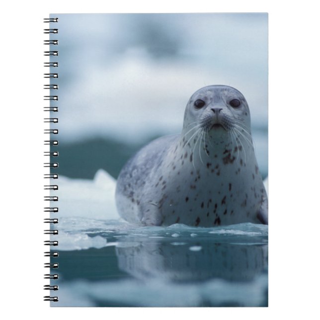 pacific harbour seal, Phoca vitulina richardsi Notebook (Front)
