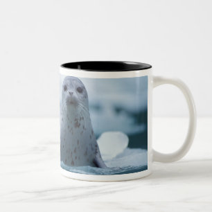 pacific harbour seal, Phoca vitulina richardsi Two-Tone Coffee Mug