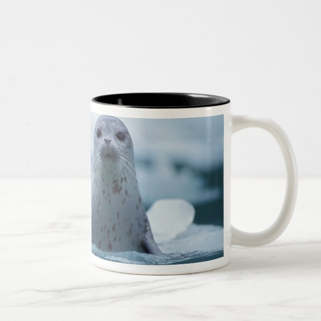 pacific harbour seal, Phoca vitulina richardsi Two-Tone Coffee Mug (Right)