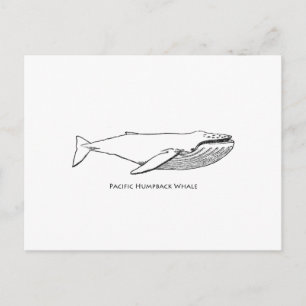 Pacific Humpback Whale Postcard
