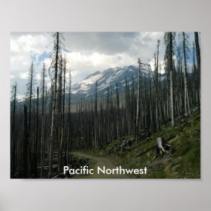 Pacific Northwest Back Road Beauty Poster