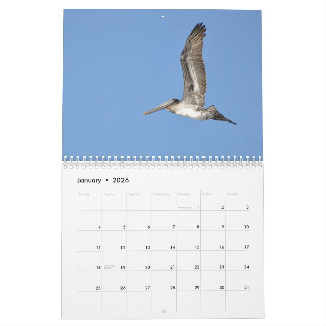 Pacific Northwest Birds Calendar (Jan 2026)