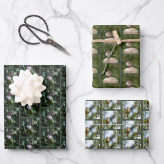 Pacific Northwest Birds Wrapping Paper 3-PACK