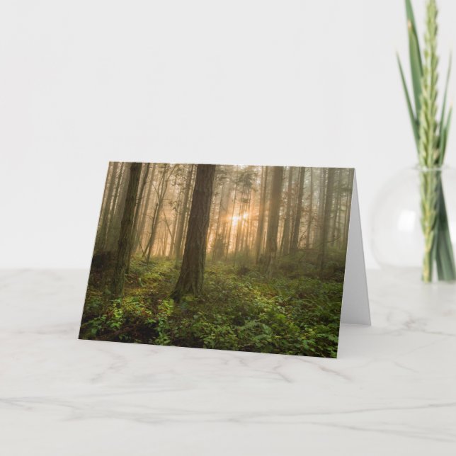 Pacific Northwest Forest | Foggy Morning Card (Front)
