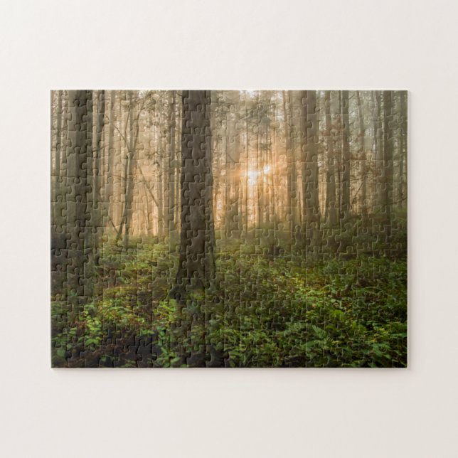 Pacific Northwest Forest | Foggy Morning Jigsaw Puzzle (Horizontal)