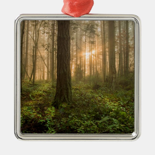 Pacific Northwest Forest | Foggy Morning Metal Tree Decoration (Front)
