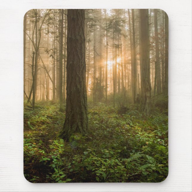 Pacific Northwest Forest | Foggy Morning Mouse Mat (Front)