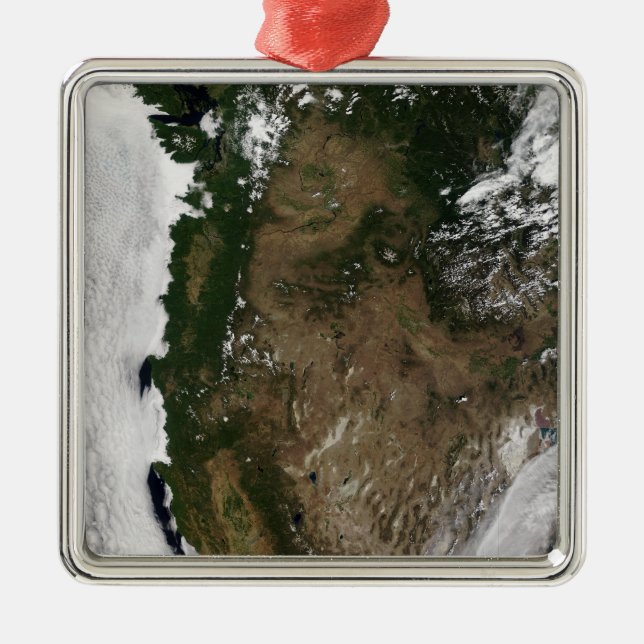 Pacific Northwest region of the United States Metal Tree Decoration (Front)