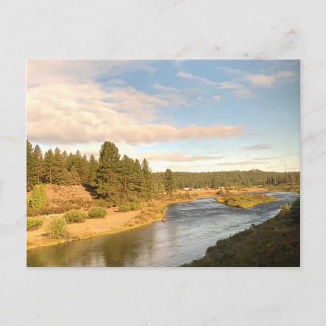 Pacific Northwest River Landscape Postcard (Front)