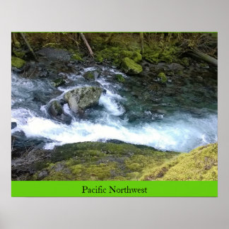 Pacific Northwest Rushing Water Poster