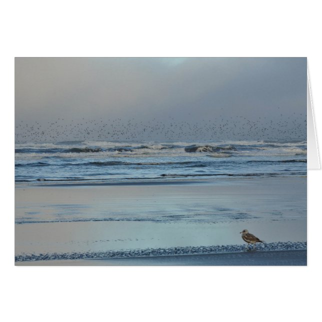 Pacific Ocean Morning Blues (Front Horizontal)