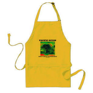 Pacific Ocean World's Largest Air Conditioner Standard Apron