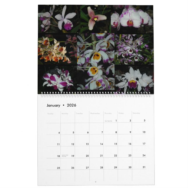 Pacific Orchid Expo Calendar (Jan 2026)