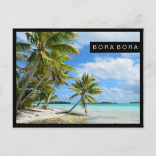 Pacific palm beach black border postcard