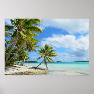 Pacific palm beach poster
