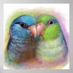 Pacific parrotlet parrot realistic painting poster