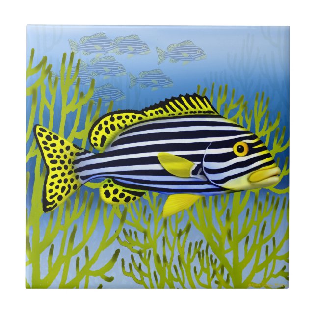 Pacific Reef Oriental Sweetlips Fish Tile (Front)