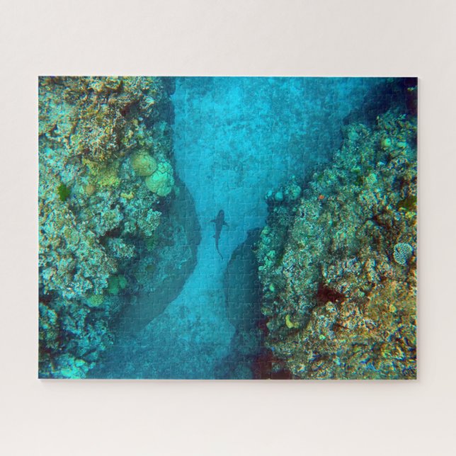 PACIFIC REEF SHARK 16x20 INCH Jigsaw Puzzle (Horizontal)
