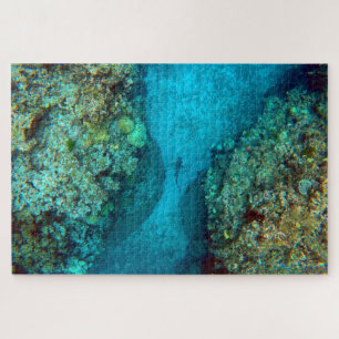 PACIFIC REEF SHARK 20x30 INCH Jigsaw Puzzle