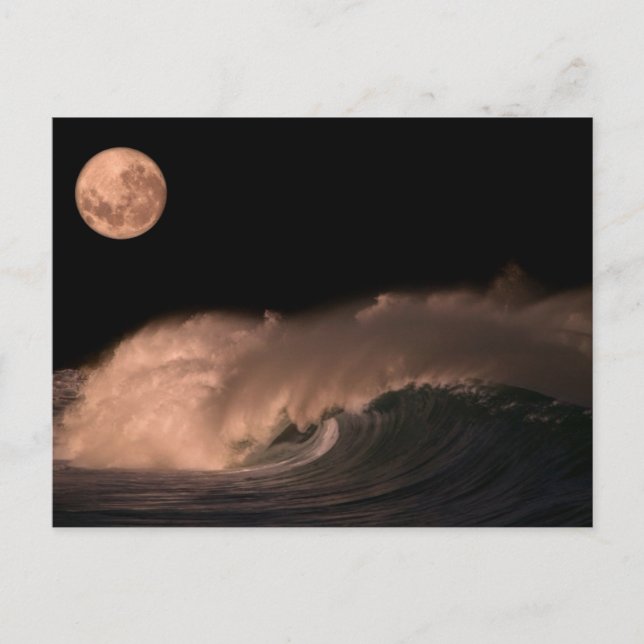 Pacific Storm Waves | North Shore of Oahu, Hawaii Postcard (Front)