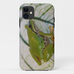 Pacific tree frog on flowers in our garden, iPhone 11 case