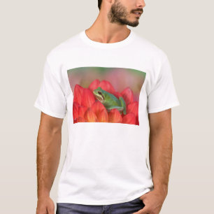 Pacific tree frog on flowers in the garden T-Shirt