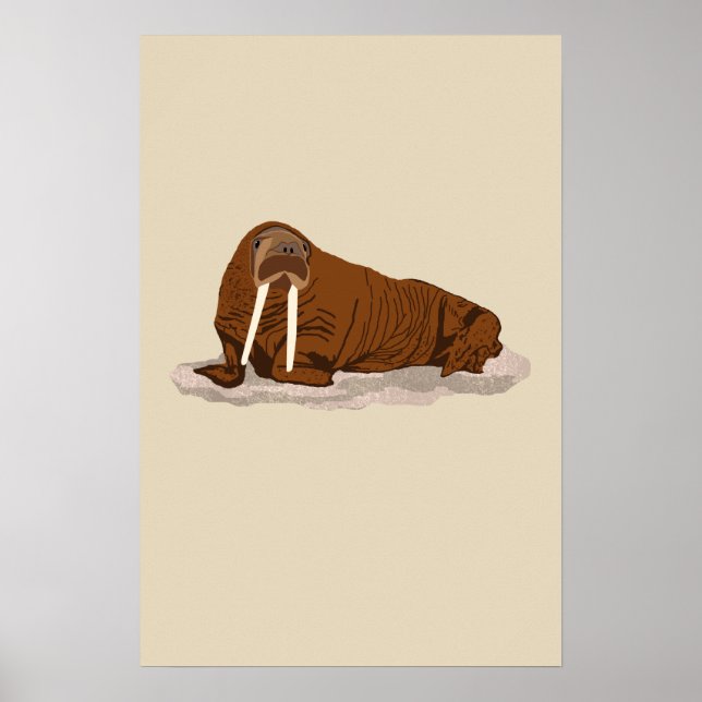 Pacific Walrus Poster (Front)
