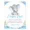 Pacifier Hunt Blue Boy Elephant Baby Shower Peanut