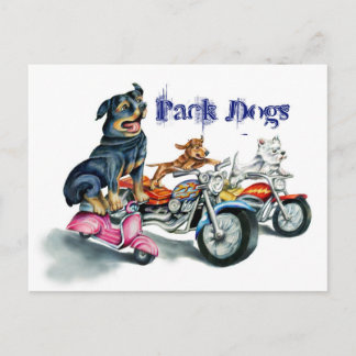 Pack Dogs Postcard