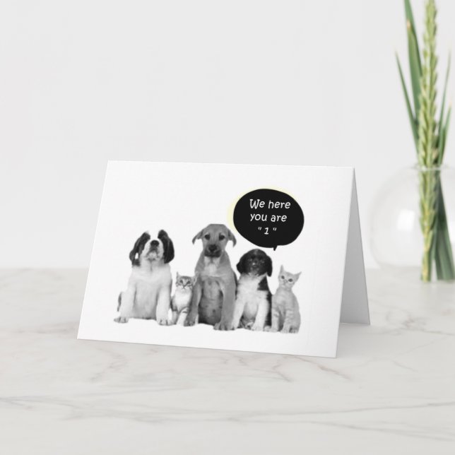 PACK OF PUPPIES SAY HAPPY "1st" BIRTHDAY Card (Front)